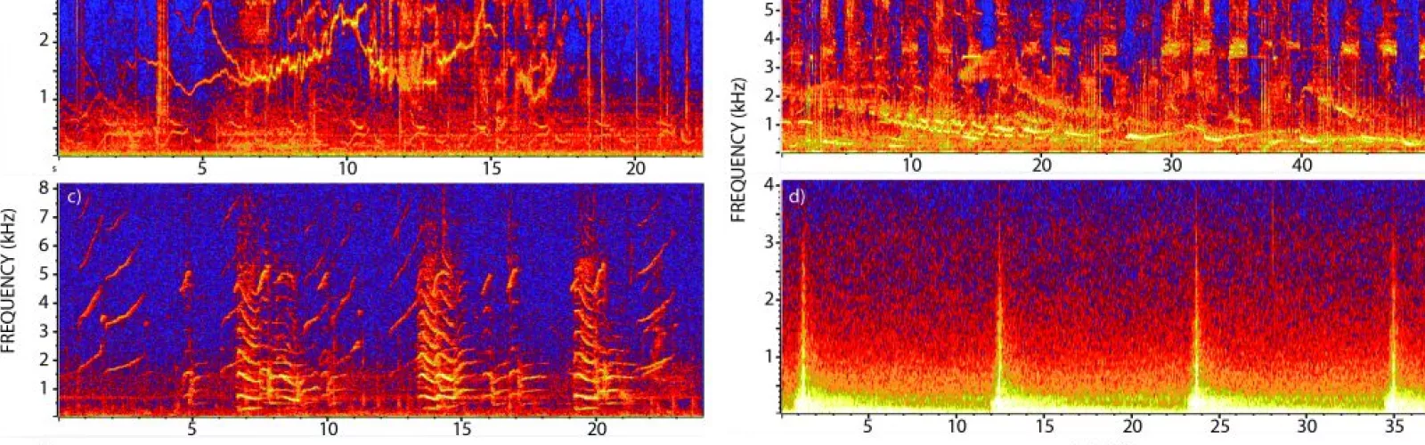 Changing Arctic Marine Soundscape